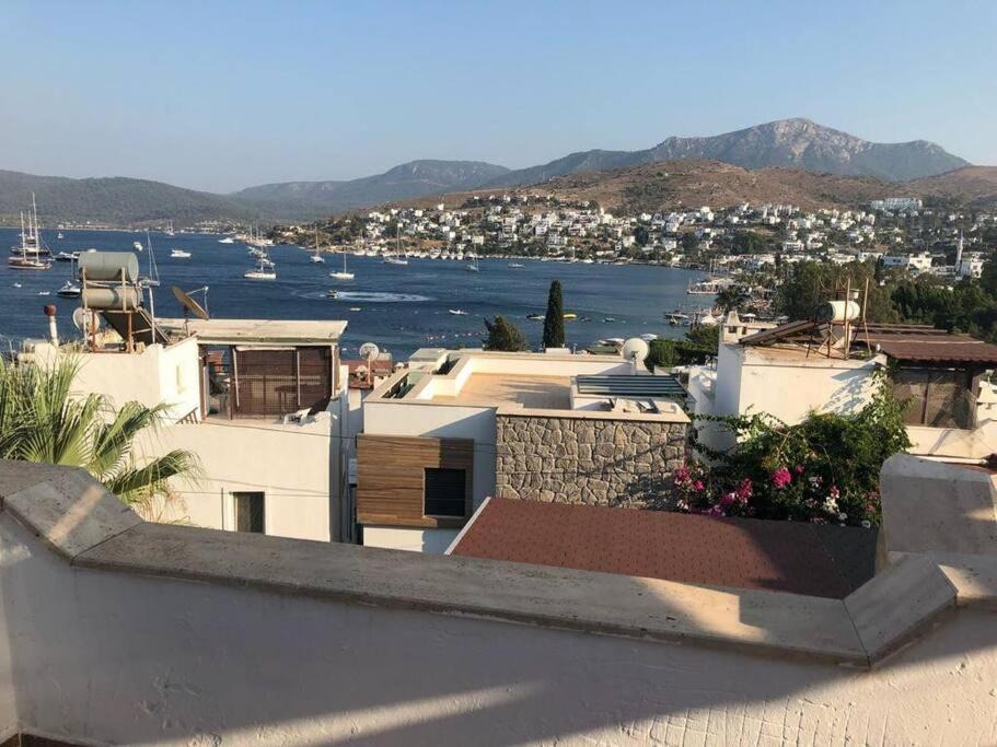 Photo of Buildings in Golturkbuku