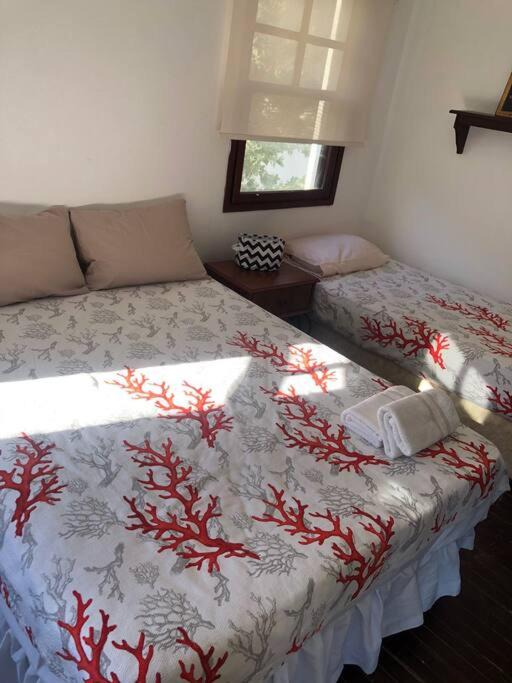 Photo of Livingroom in Golturkbuku
