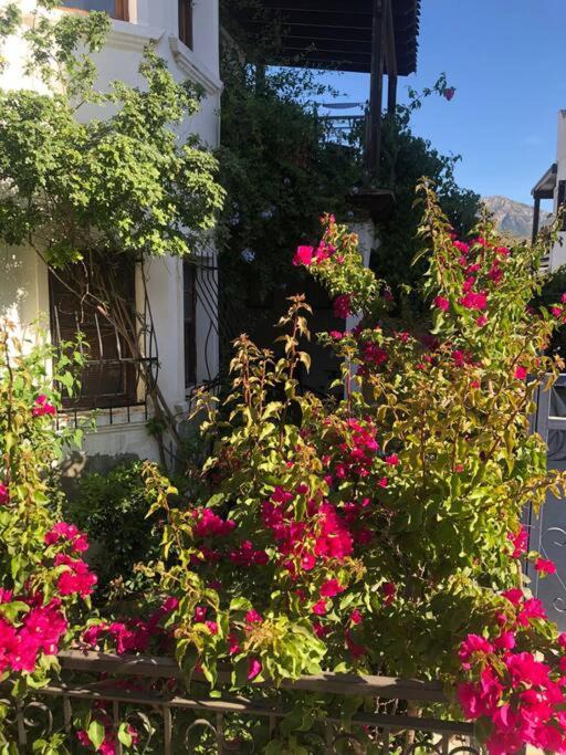 Photo of Patio Balcony in Golturkbuku