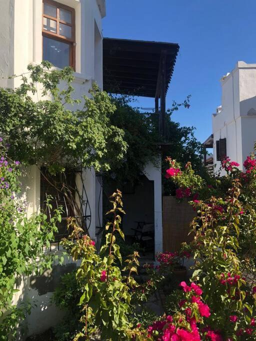 Photo of Buildings in Golturkbuku