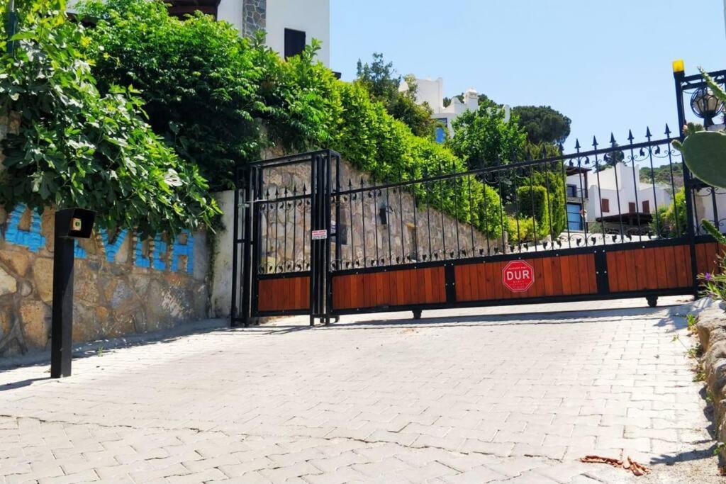 Photo of Others in Gundogan