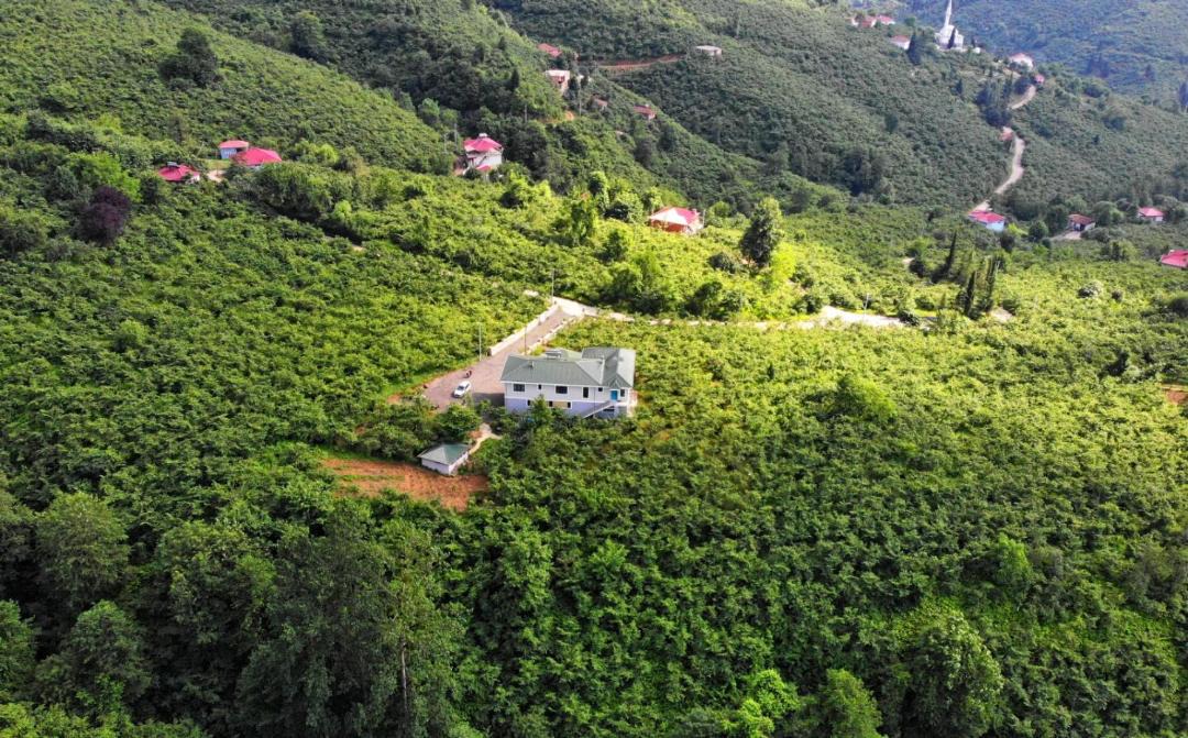 Photo of Others in Trabzon