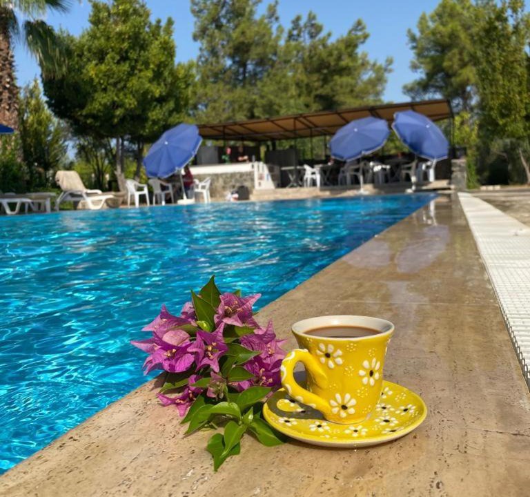 Photo of Others in Fethiye