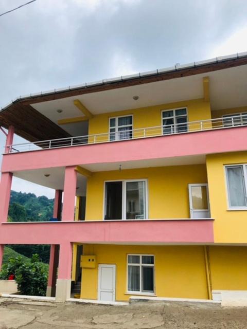 Photo of Buildings in Ayder