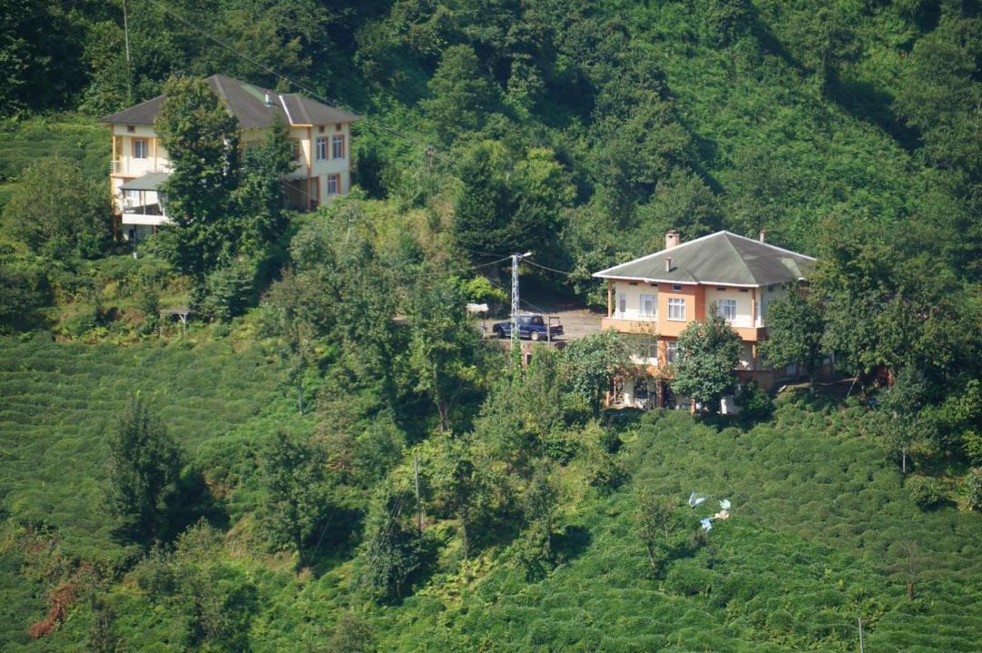 Photo of Outdoor in Cayeli