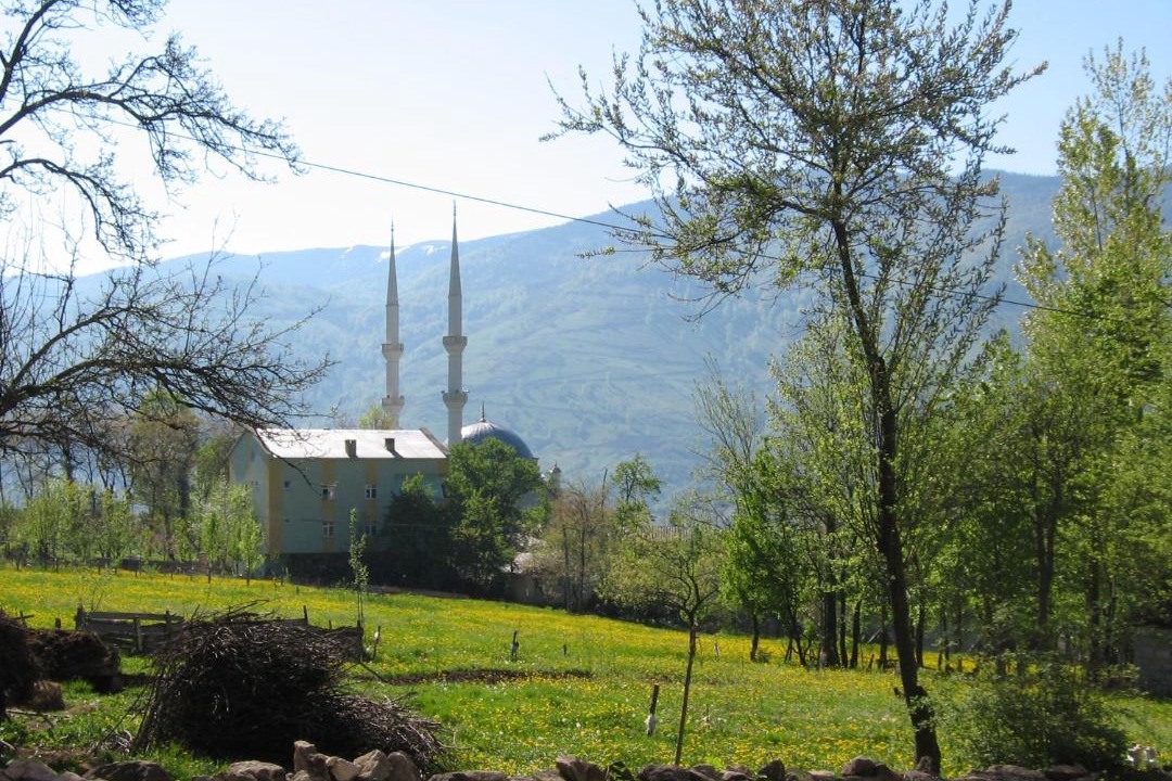 Photo of Outdoor in Duzkoy
