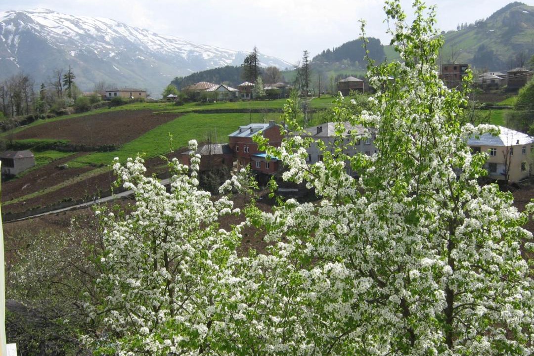 Photo of Others in Duzkoy