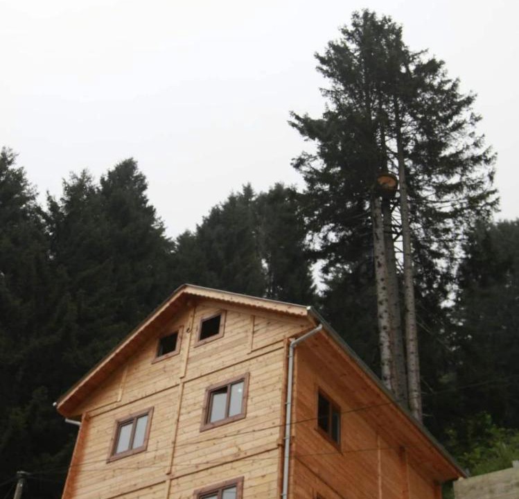 Photo of Buildings in Ayder Yaylasi