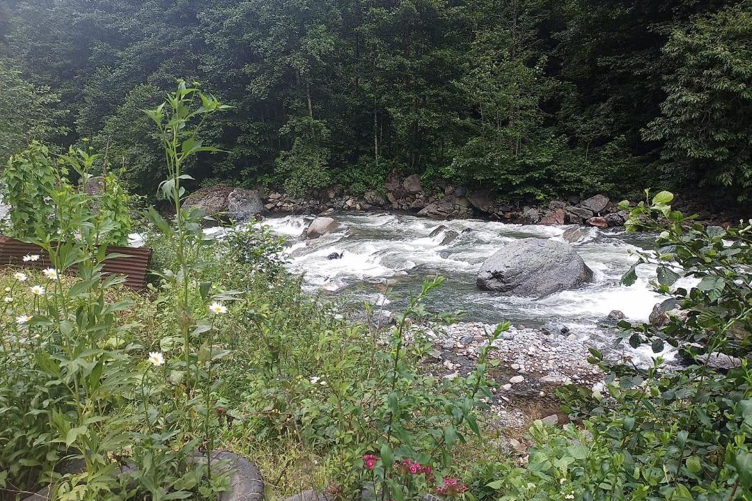 Photo of Outdoor in Ayder