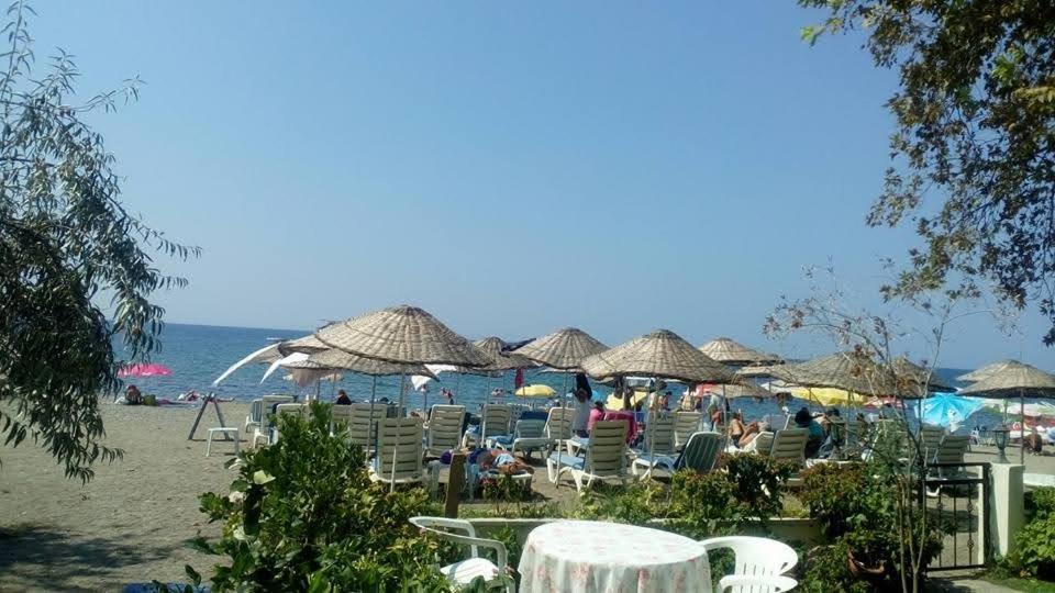 Photo of Others in Altinoluk