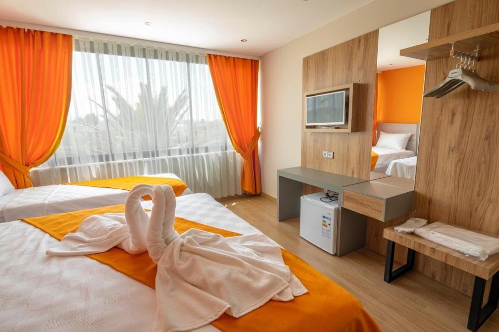 Photo of Bedroom in Akcay