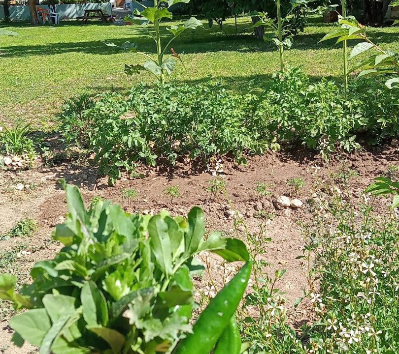 Photo of Outdoor in Yesilova