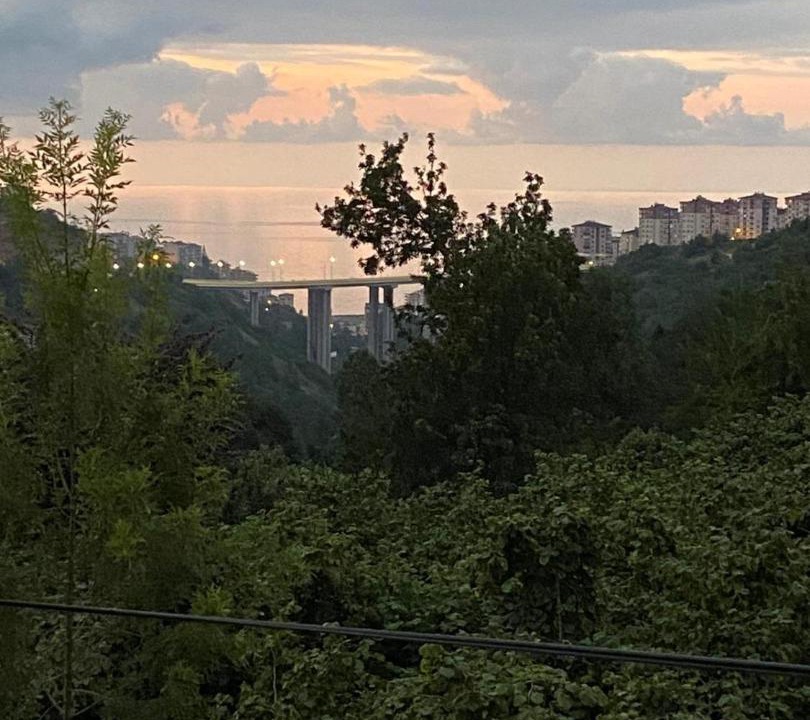 Photo of Others in Trabzon