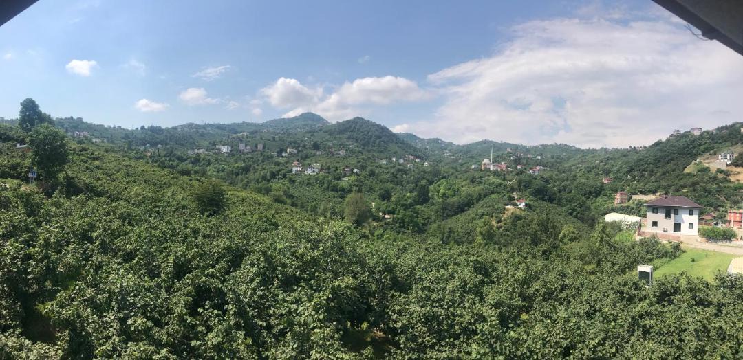 Photo of Others in Trabzon