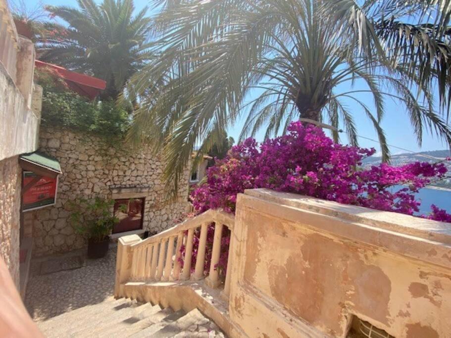 Photo of Others in Kalkan