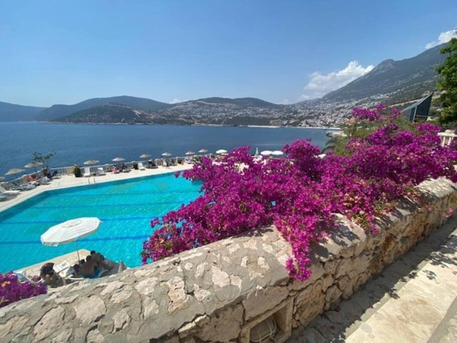 Photo of Others in Kalkan