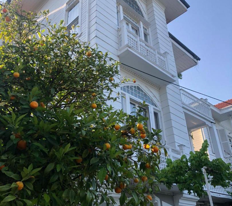Photo of Others in Adalar