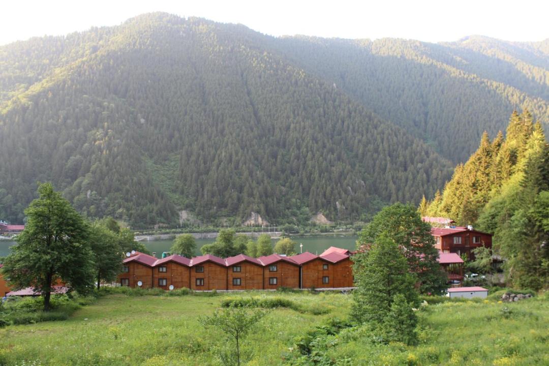 Photo of Others in Uzungol