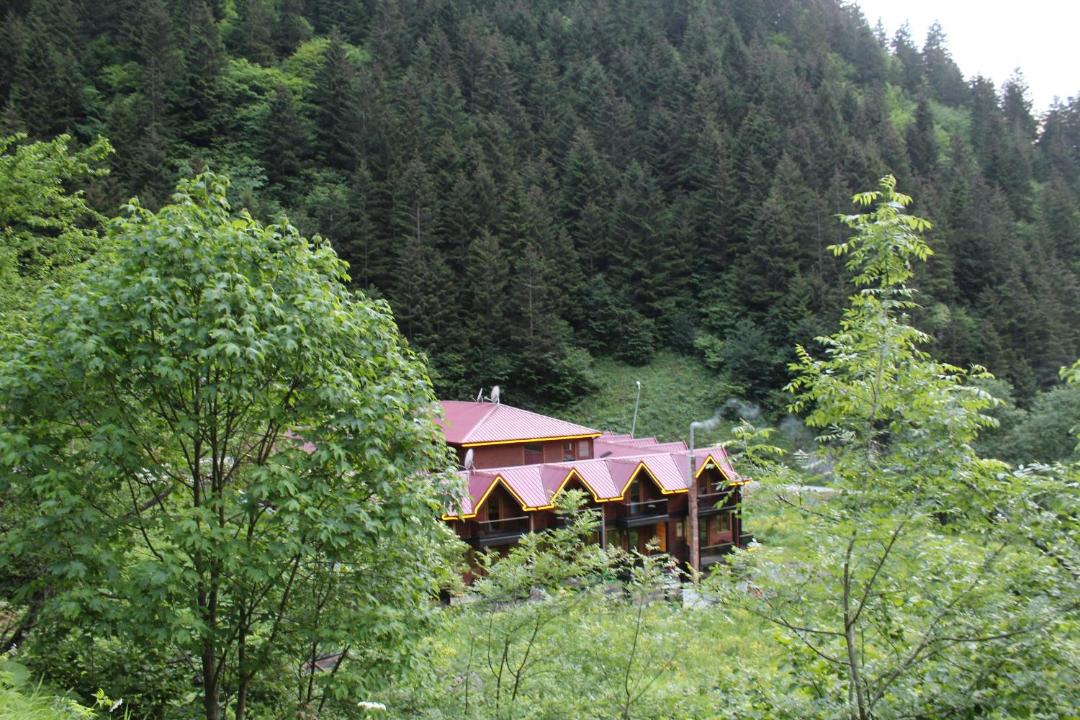 Photo of Others in Uzungol