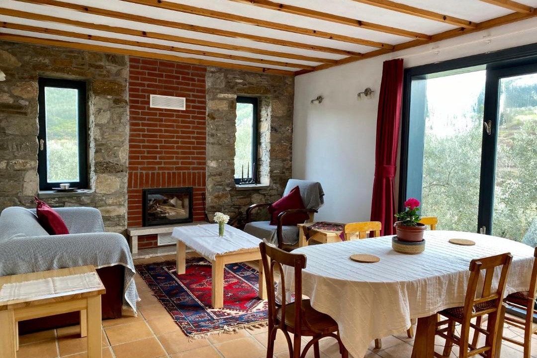 Photo of Livingroom in Selcuk