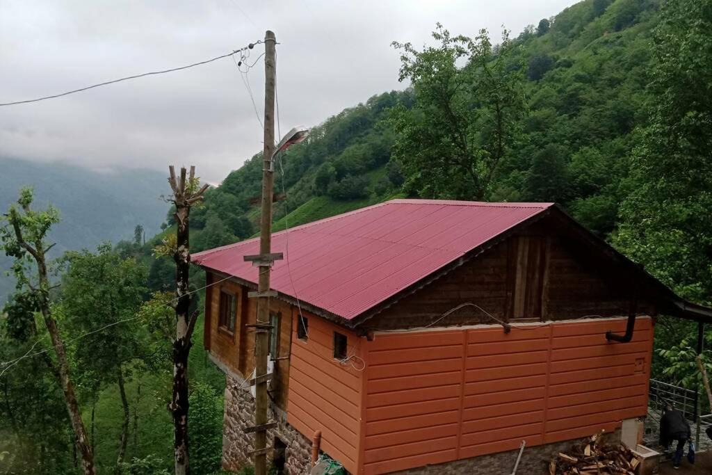 Photo of Others in Ayder
