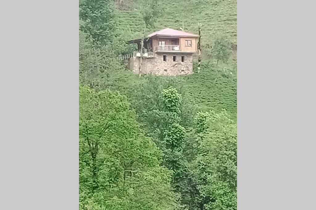 Photo of Others in Ayder