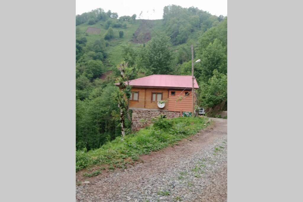 Photo of Others in Ayder