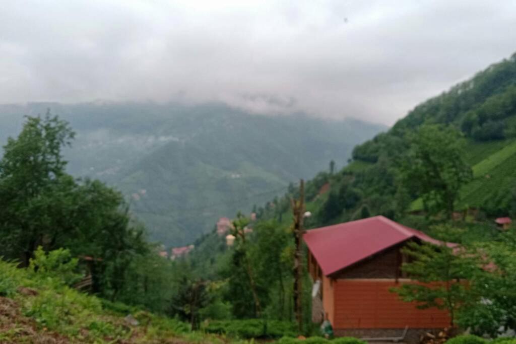 Photo of Others in Ayder