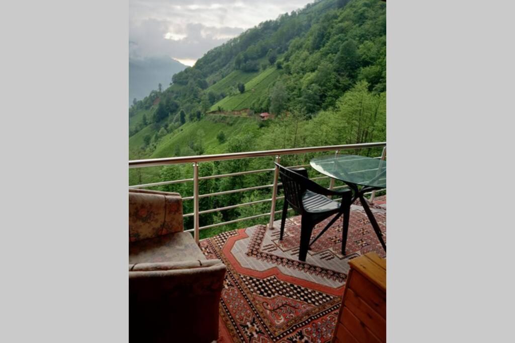 Photo of Others in Ayder