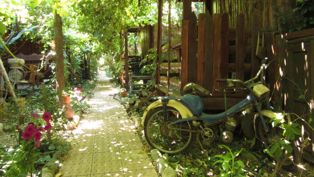 Photo of Others in Olympos