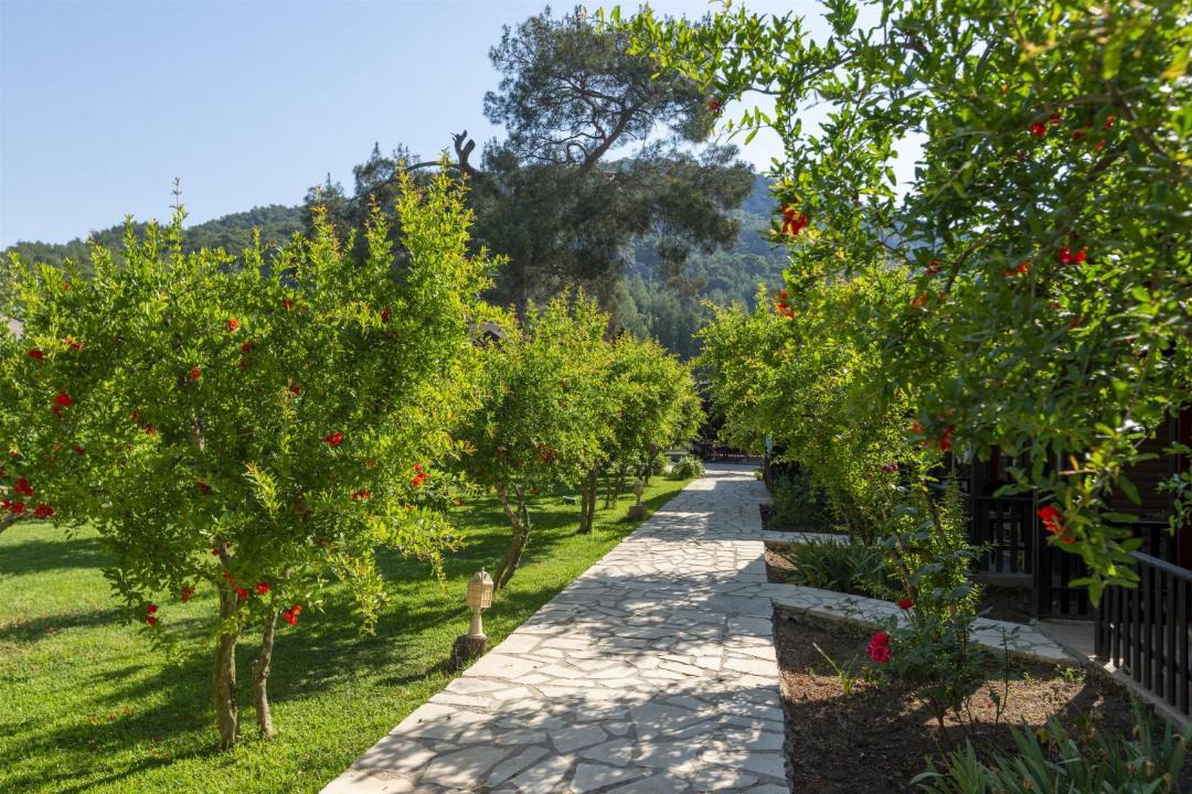 Photo of Others in Olympos