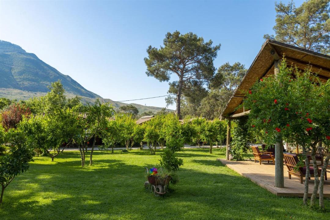 Photo of Others in Olympos