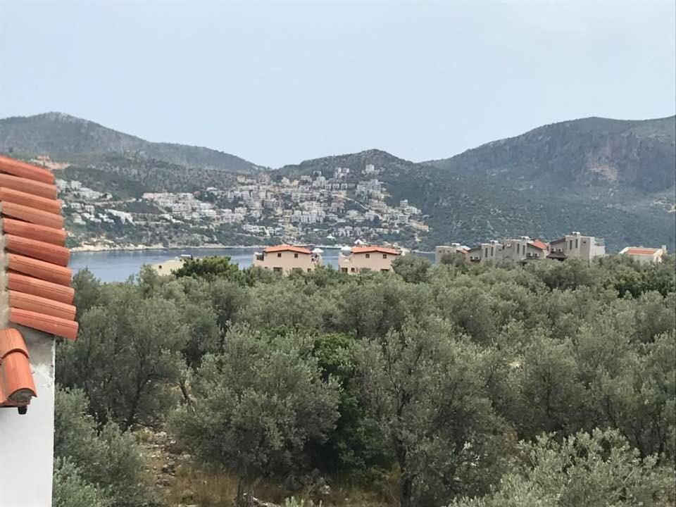 Photo of Others in Kalkan