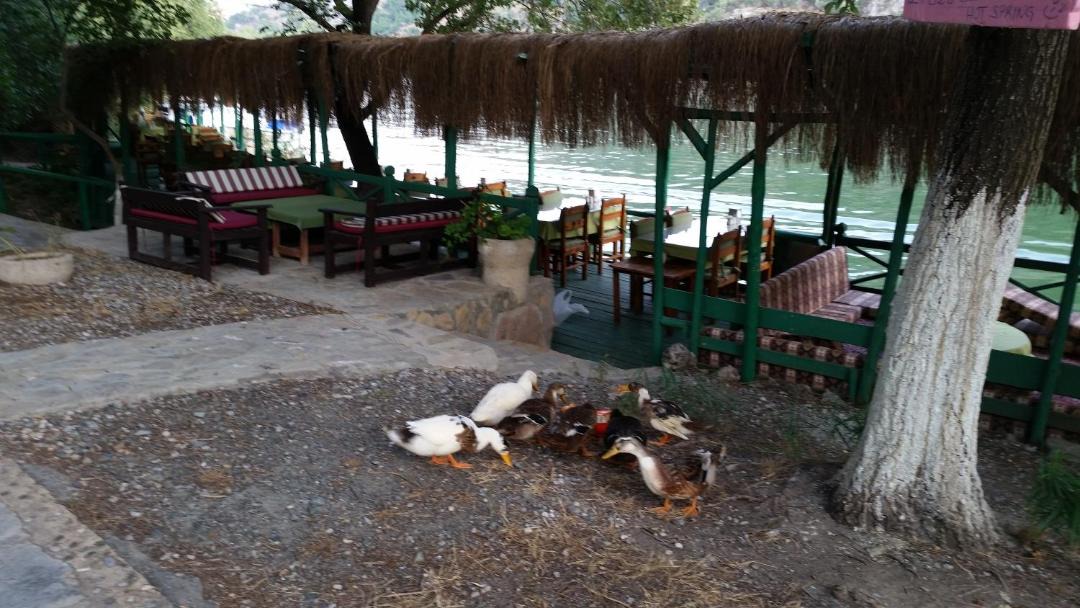 Photo of Others in Dalyan