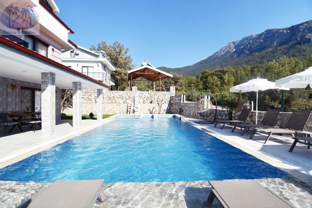 Photo of Livingroom in Oludeniz