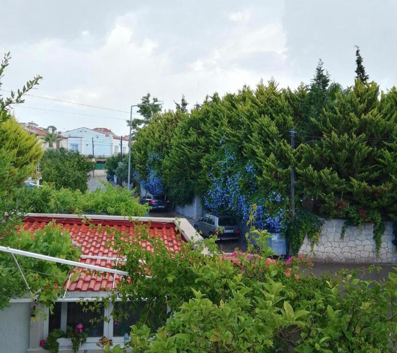 Photo of Others in Tokoglu