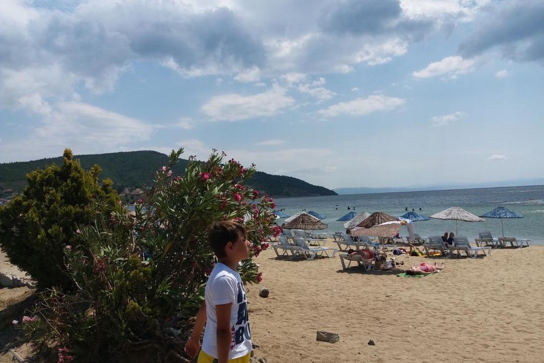 Photo of Others in Ocaklar