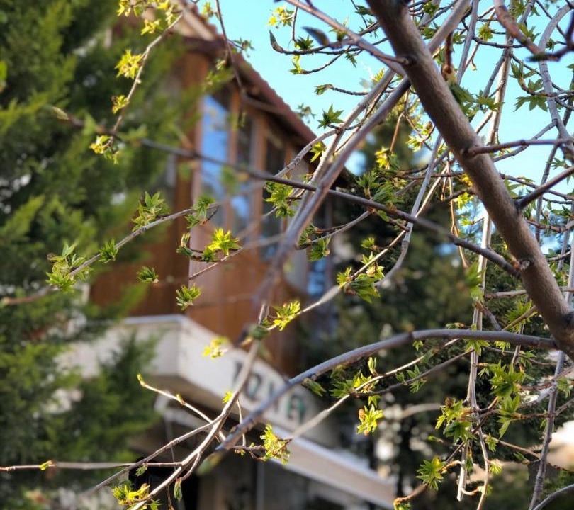 Photo of Others in Alacati