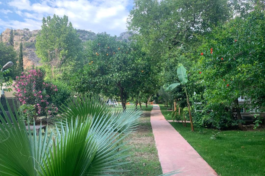 Photo of Outdoor in Olympos
