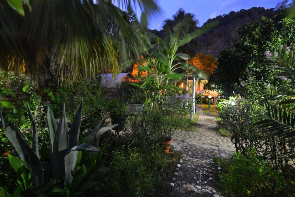 Photo of Others in Olympos