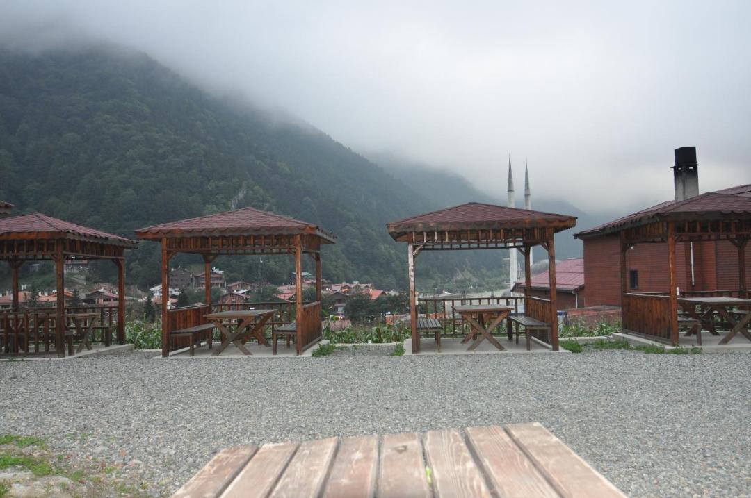 Photo of Others in Uzungol