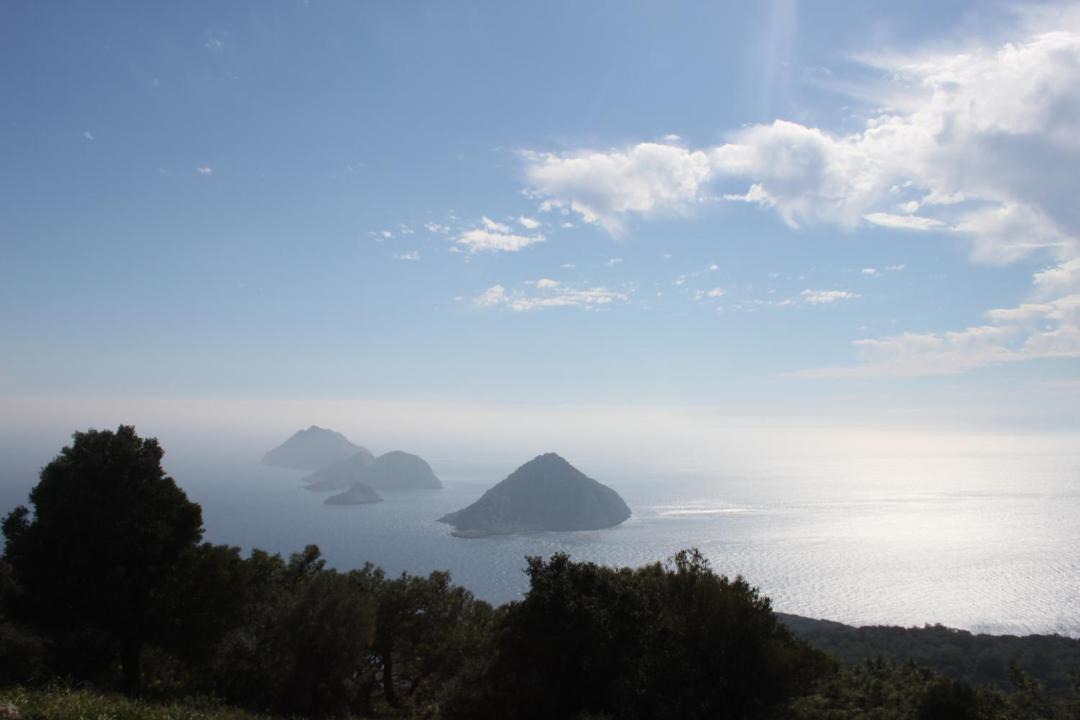 Photo of Others in Olympos