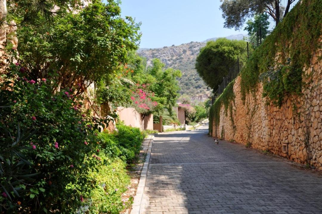 Photo of Others in Kalkan