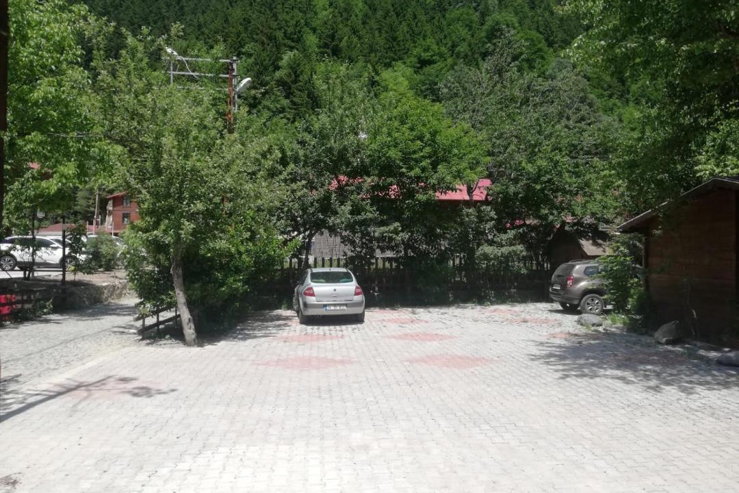 Photo of Others in Uzungol