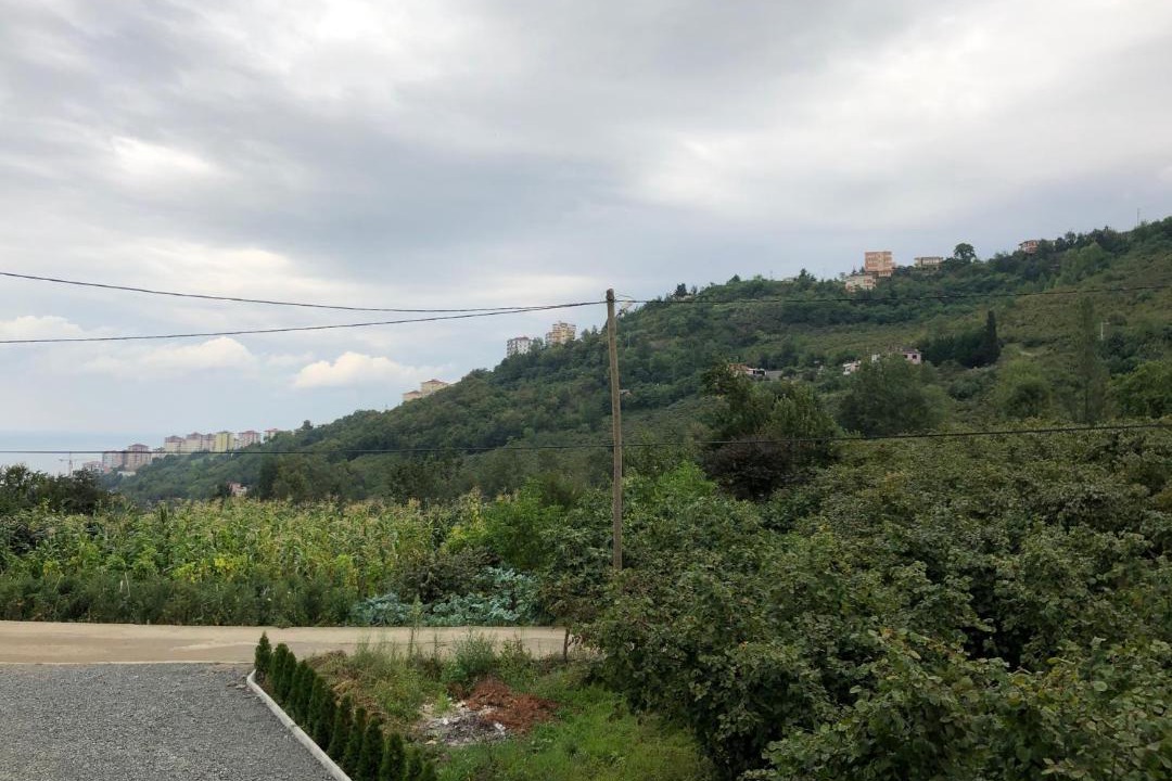 Photo of Outdoor in Trabzon