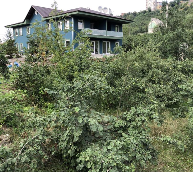 Photo of Buildings in Trabzon