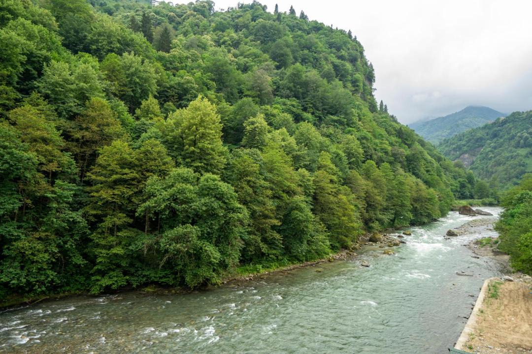 Photo of Others in Ayder