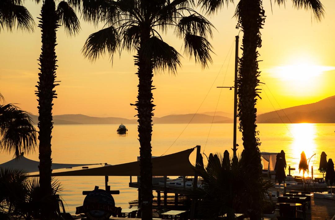 Photo of Others in Torba