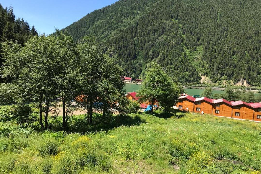 Photo of Others in Uzungol