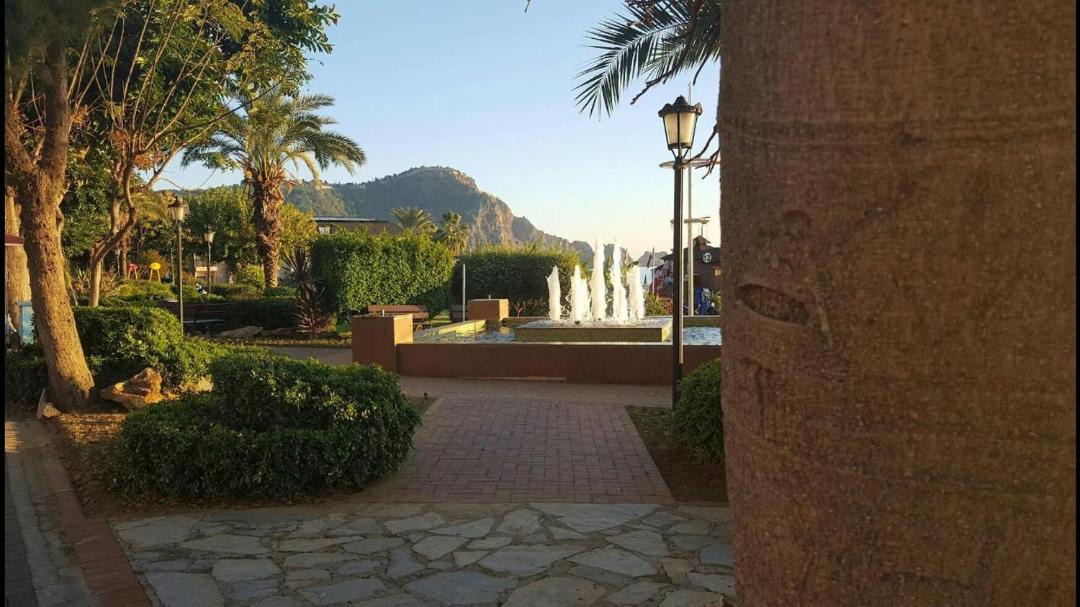 Photo of Buildings in Alanya
